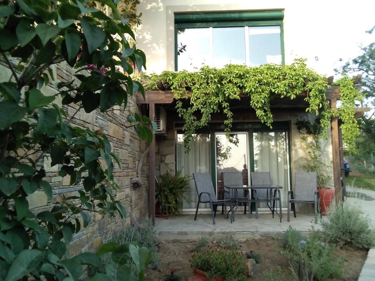 Villa Αμυγδαλιές 33 Μύρινα Extérieur photo